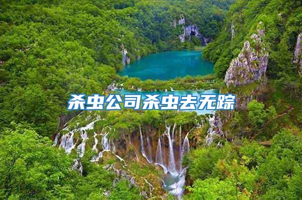 殺蟲(chóng)公司殺蟲(chóng)去無(wú)蹤