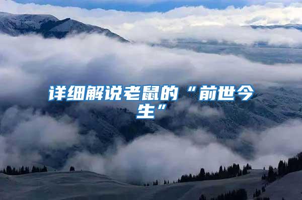 詳細(xì)解說老鼠的“前世今生”