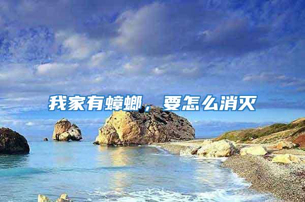 我家有蟑螂，要怎么消滅