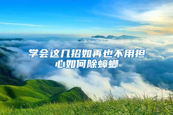 學(xué)會這幾招如再也不用擔(dān)心如何除蟑螂