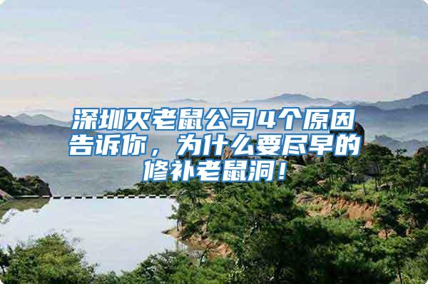 深圳滅老鼠公司4個(gè)原因告訴你，為什么要盡早的修補(bǔ)老鼠洞！