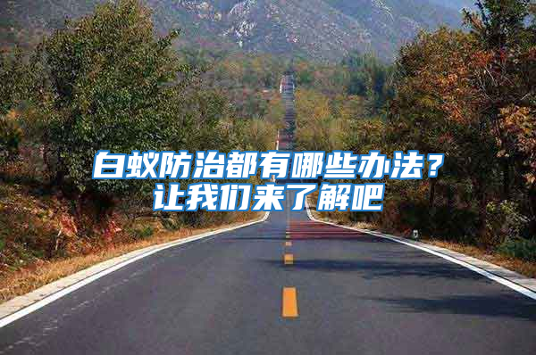 白蟻防治都有哪些辦法？讓我們來(lái)了解吧