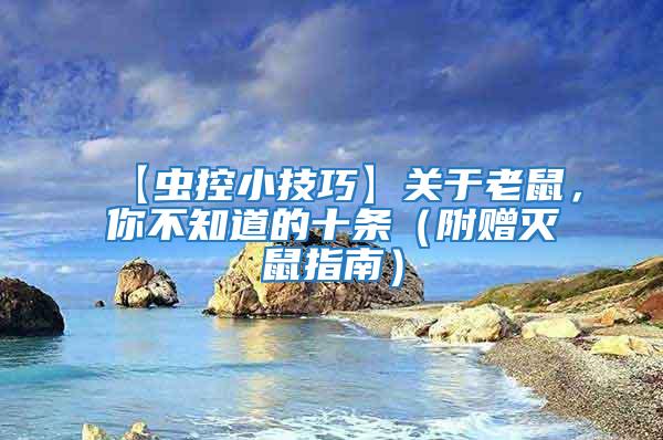 【蟲控小技巧】關于老鼠，你不知道的十條（附贈滅鼠指南）