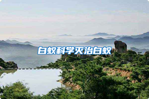 白蟻科學滅治白蟻