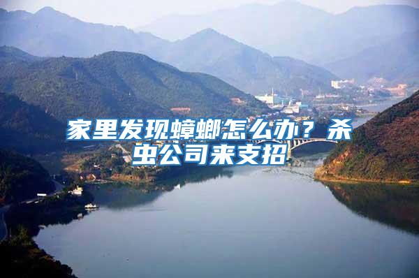 家里發(fā)現(xiàn)蟑螂怎么辦？殺蟲公司來支招