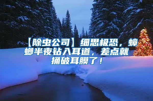【除蟲公司】細思極恐，蟑螂半夜鉆入耳道，差點就捅破耳膜了！