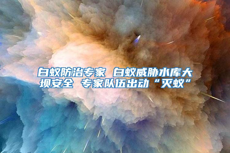 白蟻防治專家 白蟻威脅水庫大壩安全 專家隊(duì)伍出動(dòng)“滅蟻”