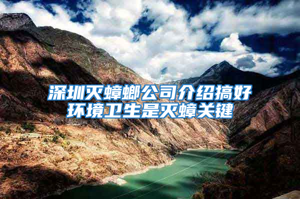 深圳滅蟑螂公司介紹搞好環(huán)境衛(wèi)生是滅蟑關鍵