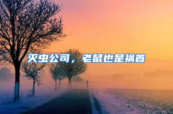 滅蟲(chóng)公司，老鼠也是禍?zhǔn)?/></p>
             <p style=
