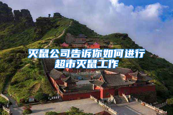 滅鼠公司告訴你如何進行超市滅鼠工作