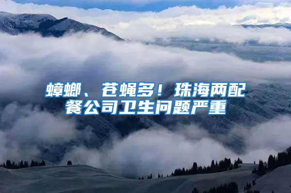 蟑螂、蒼蠅多！珠海兩配餐公司衛生問題嚴重