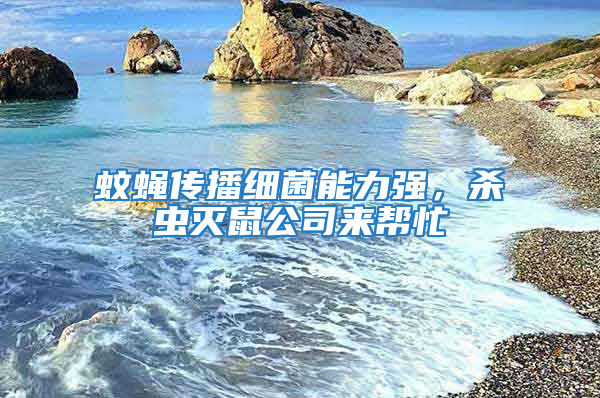 蚊蠅傳播細菌能力強，殺蟲滅鼠公司來幫忙