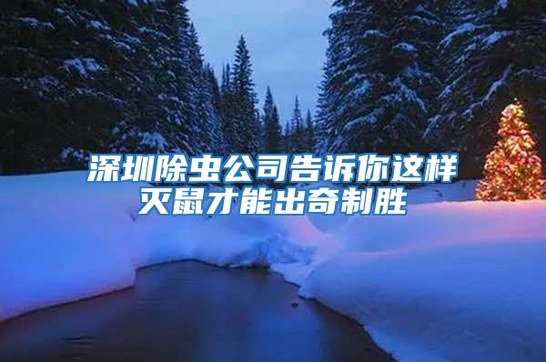 深圳除蟲(chóng)公司告訴你這樣滅鼠才能出奇制勝