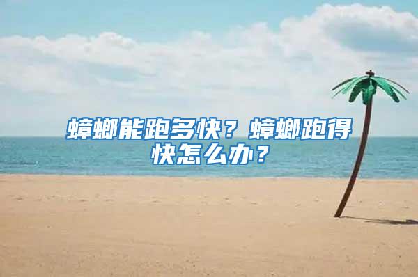 蟑螂能跑多快？蟑螂跑得快怎么辦？