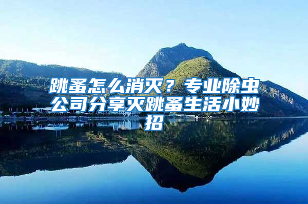 跳蚤怎么消滅？專業除蟲公司分享滅跳蚤生活小妙招