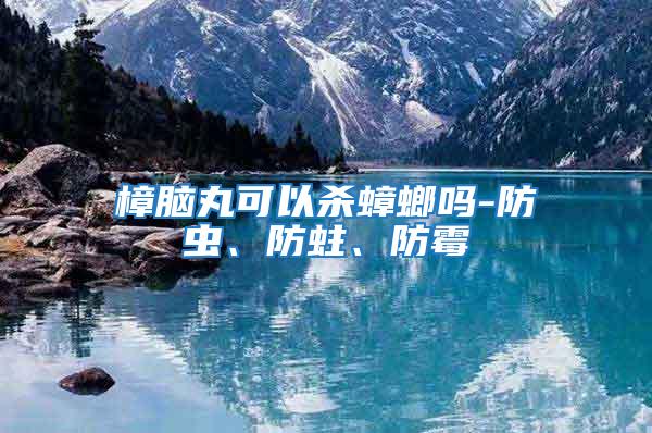 樟腦丸可以殺蟑螂嗎-防蟲、防蛀、防霉
