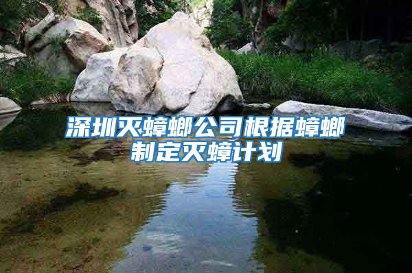 深圳滅蟑螂公司根據蟑螂制定滅蟑計劃
