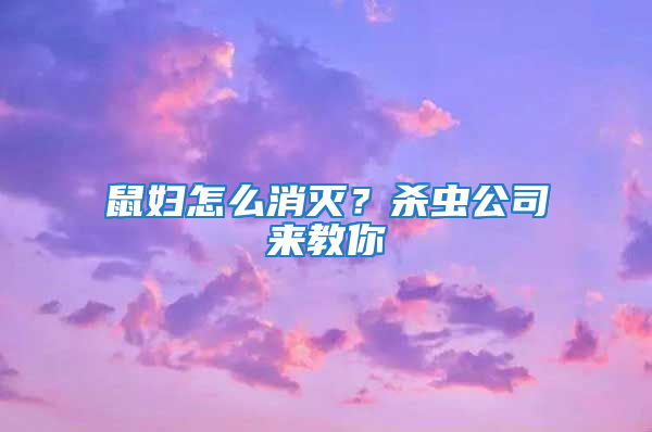 鼠婦怎么消滅？殺蟲(chóng)公司來(lái)教你