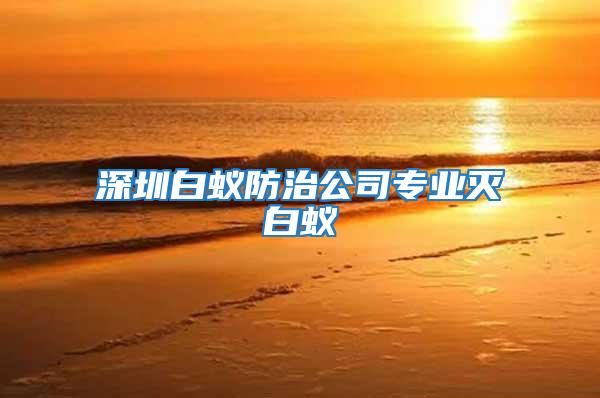深圳白蟻防治公司專業滅白蟻