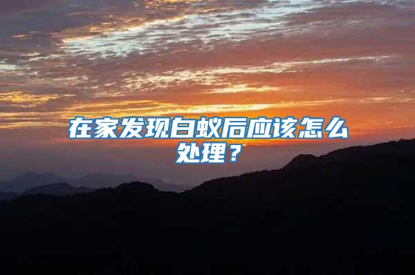 在家發現白蟻后應該怎么處理？
