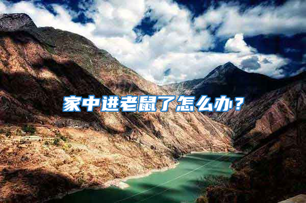 家中進(jìn)老鼠了怎么辦？
