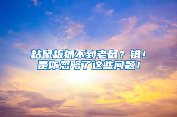 粘鼠板抓不到老鼠？錯！是你忽略了這些問題！