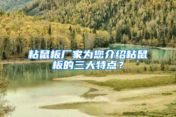 粘鼠板廠家為您介紹粘鼠板的三大特點？