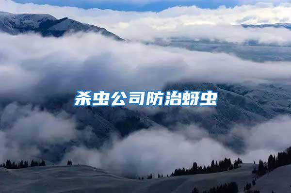 殺蟲(chóng)公司防治蚜蟲(chóng)