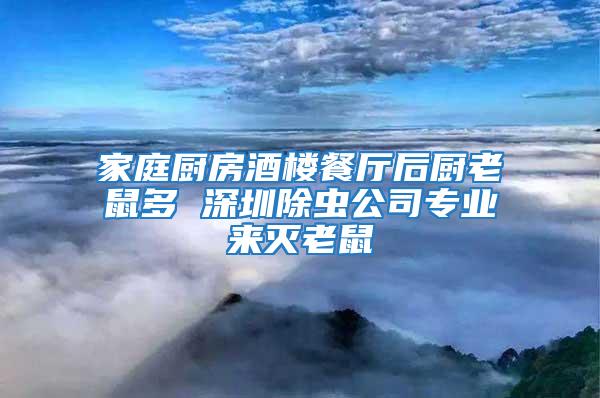 家庭廚房酒樓餐廳后廚老鼠多 深圳除蟲(chóng)公司專(zhuān)業(yè)來(lái)滅老鼠