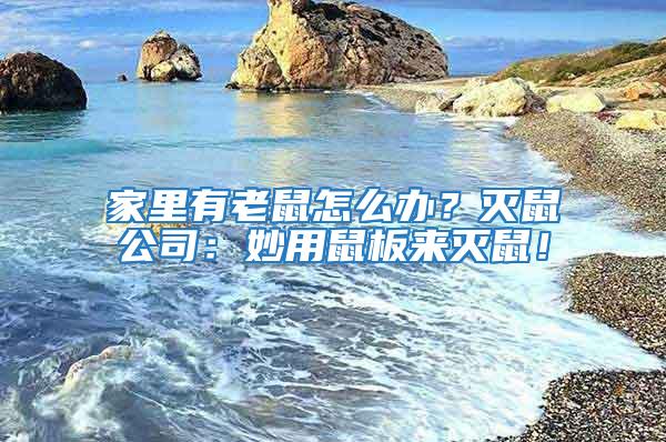 家里有老鼠怎么辦？滅鼠公司：妙用鼠板來(lái)滅鼠！