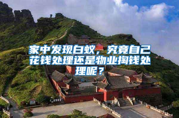 家中發現白蟻，究竟自己花錢處理還是物業掏錢處理呢？