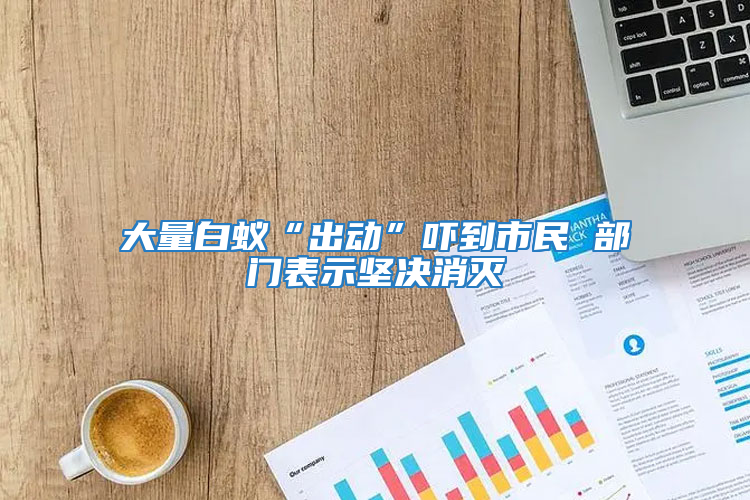 大量白蟻“出動(dòng)”嚇到市民 部門表示堅(jiān)決消滅