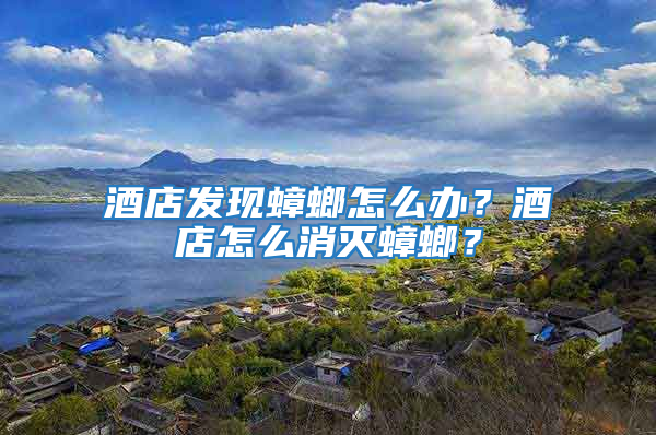 酒店發現蟑螂怎么辦？酒店怎么消滅蟑螂？