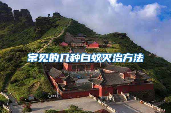 常見的幾種白蟻滅治方法
