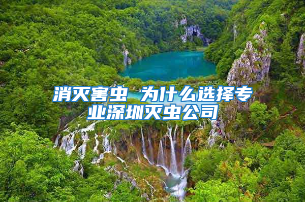 消滅害蟲 為什么選擇專業深圳滅蟲公司