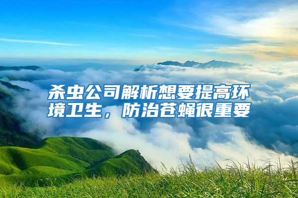 殺蟲公司解析想要提高環(huán)境衛(wèi)生，防治蒼蠅很重要