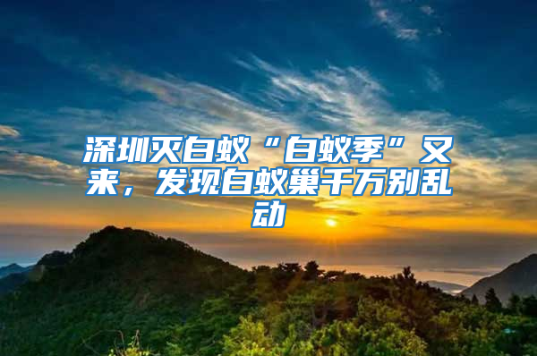 深圳滅白蟻“白蟻季”又來，發(fā)現(xiàn)白蟻巢千萬別亂動
