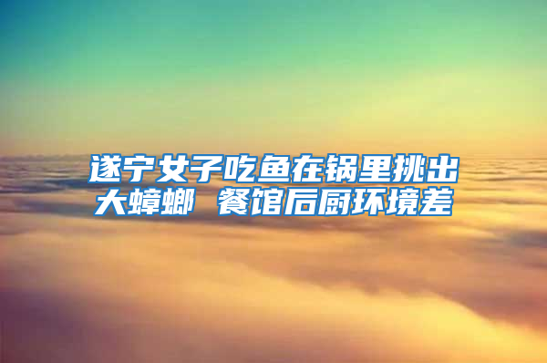 遂寧女子吃魚在鍋里挑出大蟑螂 餐館后廚環境差