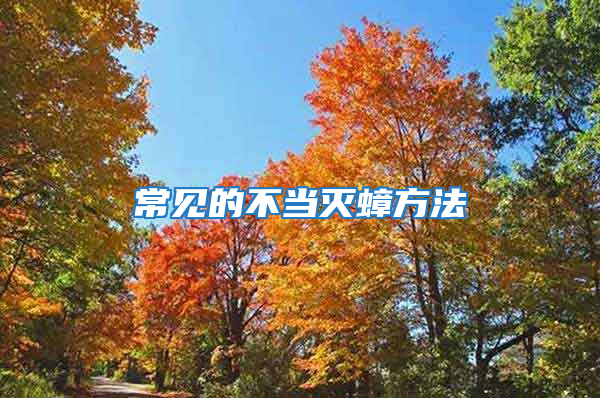常見的不當(dāng)滅蟑方法