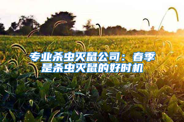專(zhuān)業(yè)殺蟲(chóng)滅鼠公司：春季是殺蟲(chóng)滅鼠的好時(shí)機(jī)