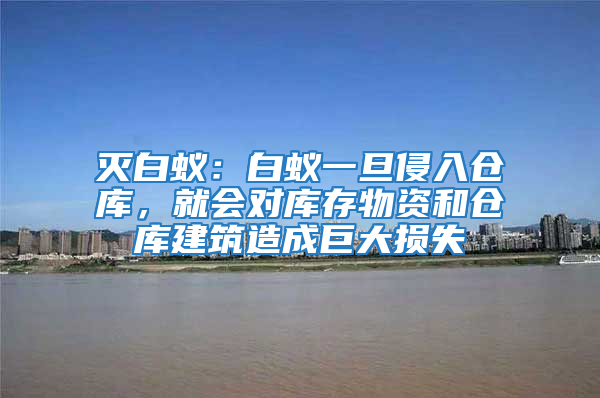 滅白蟻：白蟻一旦侵入倉庫，就會對庫存物資和倉庫建筑造成巨大損失