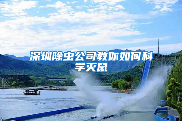 深圳除蟲公司教你如何科學滅鼠