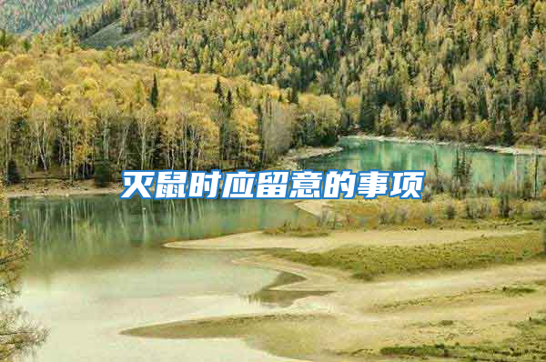 滅鼠時應留意的事項