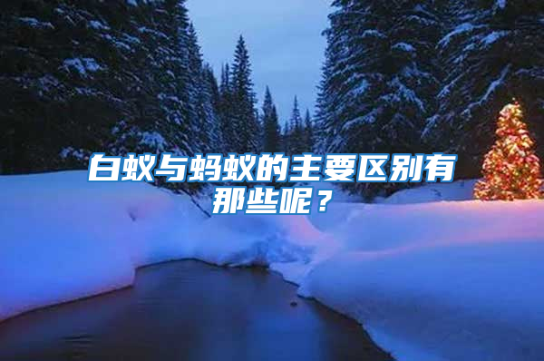 白蟻與螞蟻的主要區別有那些呢？