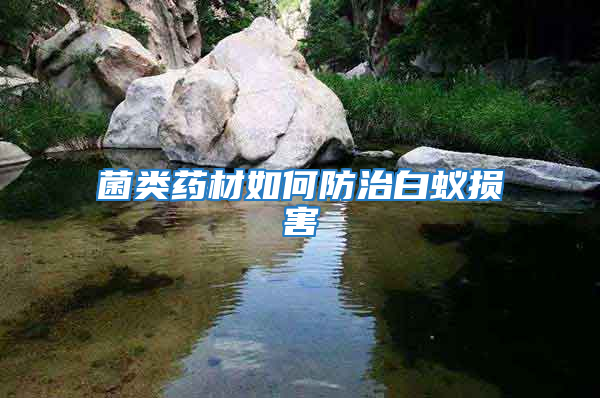 菌類(lèi)藥材如何防治白蟻損害