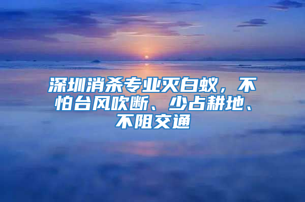 深圳消殺專業滅白蟻，不怕臺風吹斷、少占耕地、不阻交通