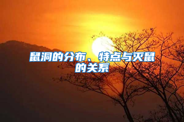 鼠洞的分布、特點與滅鼠的關(guān)系