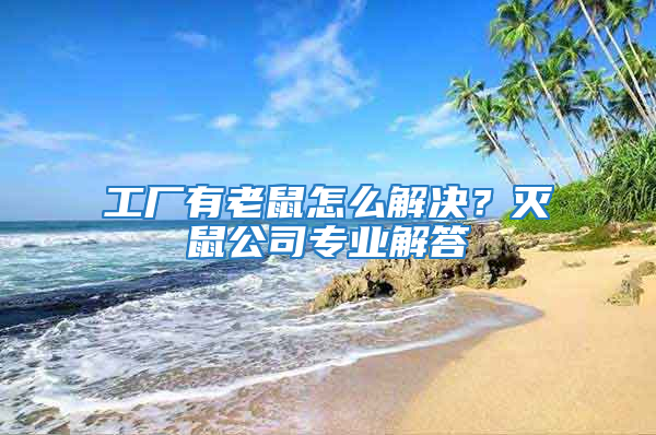 工廠有老鼠怎么解決？滅鼠公司專業解答