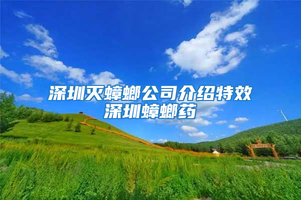 深圳滅蟑螂公司介紹特效深圳蟑螂藥