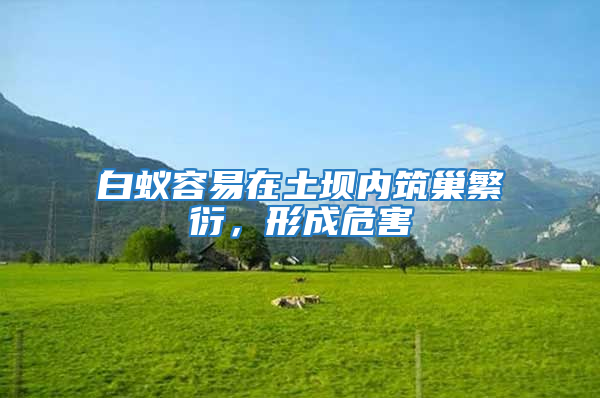 白蟻容易在土壩內(nèi)筑巢繁衍，形成危害